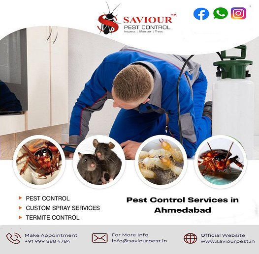 Insects Control Service